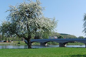 Die Muldentalbrücke im Frühling